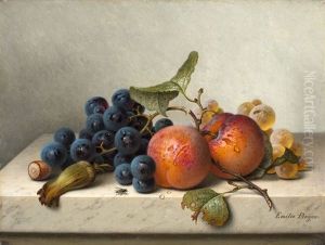 Fruchtestilleben Mit Blauen Und Weissen Weintrauben, Zwei Aprikosen Am Zweig Und Zwei Haselnussen by Emilie Preyer