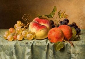 Stillleben Mit Pfirsich Und Aprikosen Stillleben Mit Pfirsich Und Aprikosen