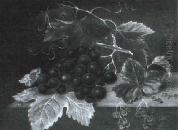 Nature Morte Med Vindruer Og Ribs - view 1
