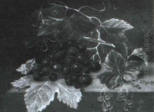 Nature Morte Med Vindruer Og Ribs by Emilie Preyer