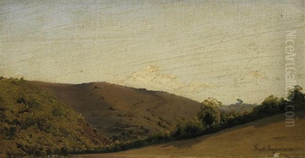 Heidelandschaft Bei Hilden - view 1