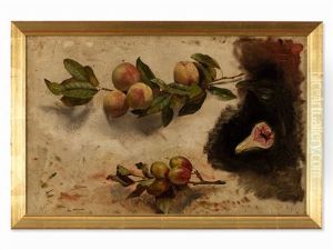 Branches by Johann Wilhelm Preyer