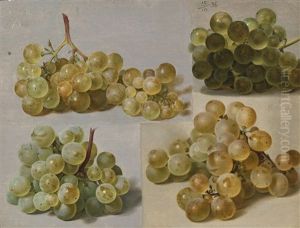 Still Life Of Grapes by Johann Wilhelm Preyer
