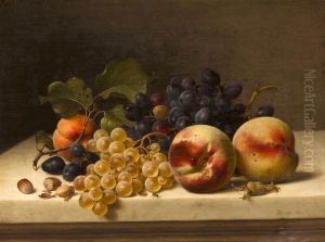A Still Life With Peaches, Grapes And Hazelnuts by Johann Wilhelm Preyer
