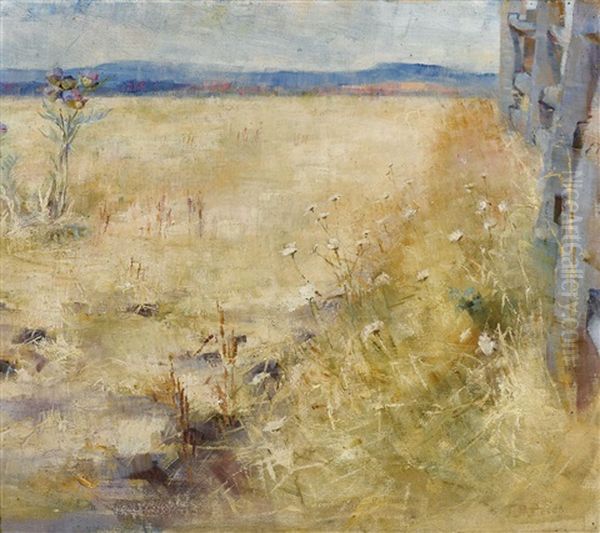 Plough-land In Summer - view 1