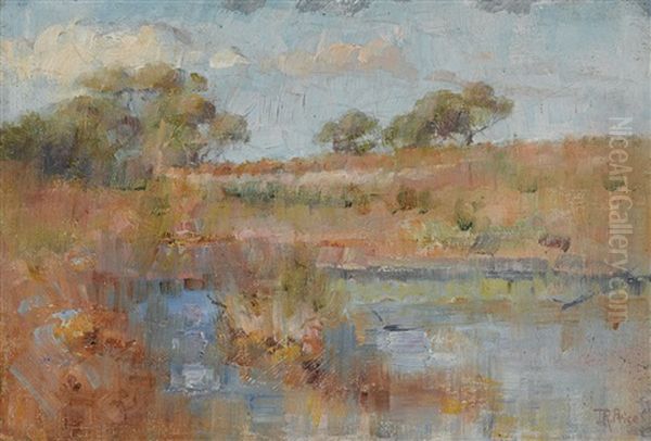 Landscape - view 1