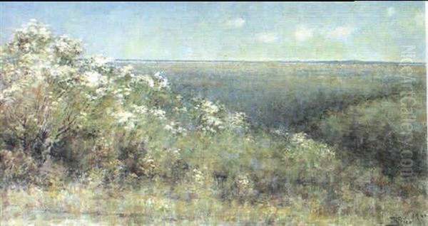 Springtime Looking From Kallista Heights - view 1