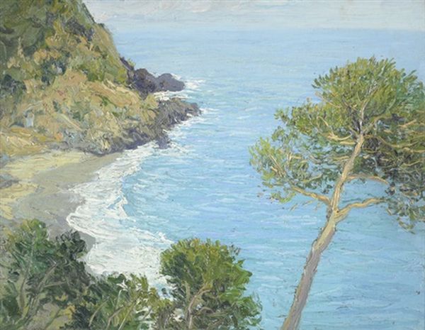 California Coastal Landscape - view 1
