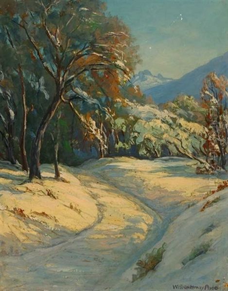 Winter In The Mountains - view 1