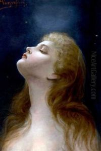 A Profile Of A Woman Looking At The Stars by Alois Heinrich Priechenfried