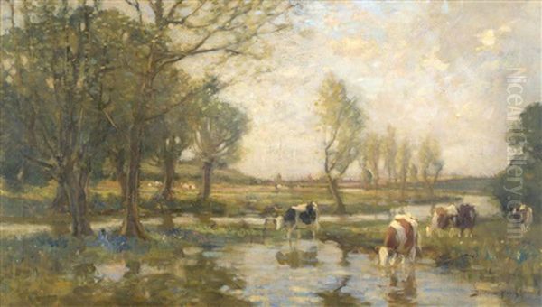 Cattle Watering In A Summer Landscape - view 1