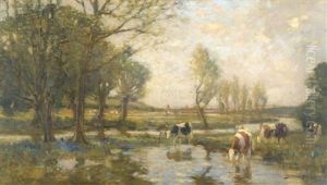 Cattle Watering In A Summer Landscape Cattle Watering In A Summer Landscape