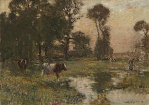 Weidelandschaft Weidelandschaft
