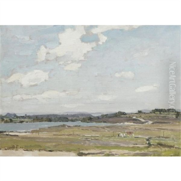 Linton Weir, Grassington - view 1