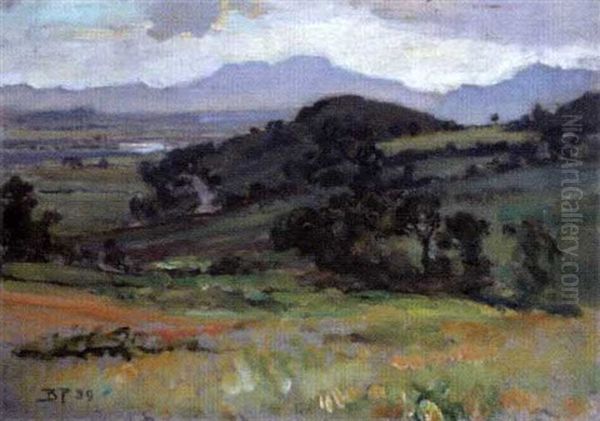 Near Portmerion - view 1
