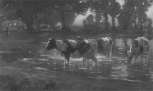 Cattle At The Water's Edge Cattle At The Water's Edge