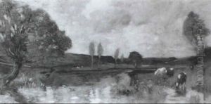 Cows Drinking From The River Cows Drinking From The River