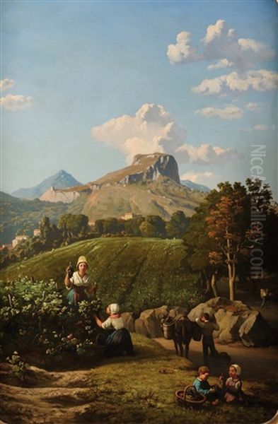 Les Vendanges Dans Le Midi - view 1