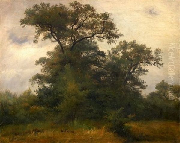 Paysage - view 1