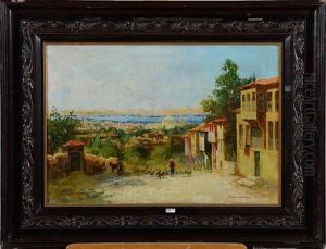 Coin D'istanbul Anime Avec Vue Sur Le Bosphore
