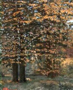 Trees In Summer by Francois Leon Prieur-Bardin