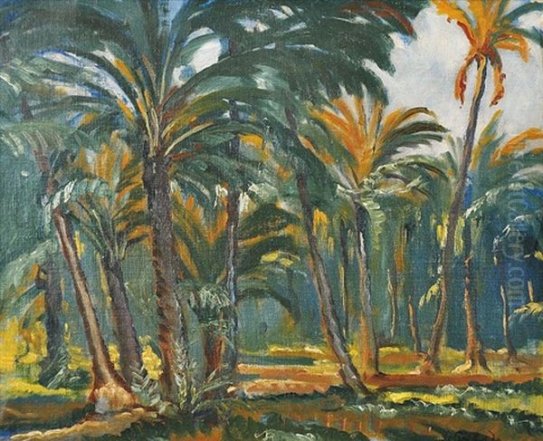 In The Oasis - view 1