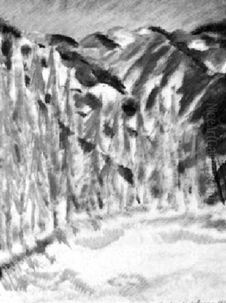 Berglandschaft Mit Roten Tannen - view 1