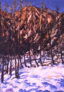 Paysage De Neige