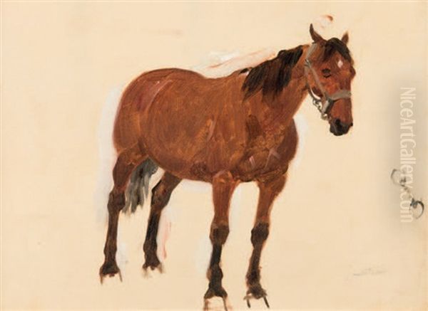 Etude De Cheval - view 1