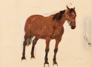 Etude De Cheval by Rene Pierre Charles Princeteau
