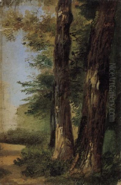 Alberi - view 1