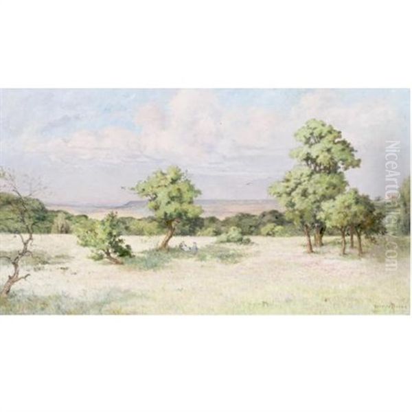 Le Plateau Ensoleille, Gros-rouvre (s Et O) - view 1