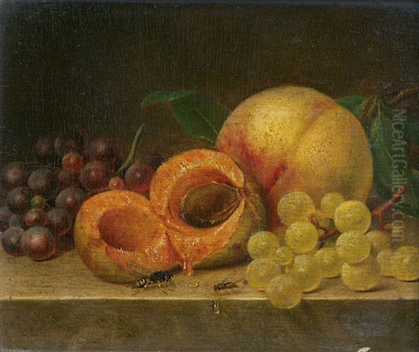 Stillleben Mit Aprikosen, Trauben, Biene Und Fliege - view 1