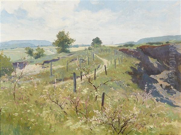 Weg Zur Sophienalpe Im Vorfruhling - view 1