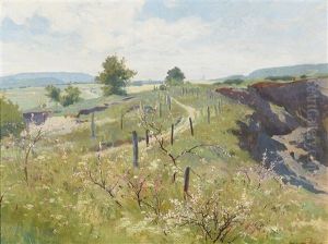 Weg Zur Sophienalpe Im Vorfruhling