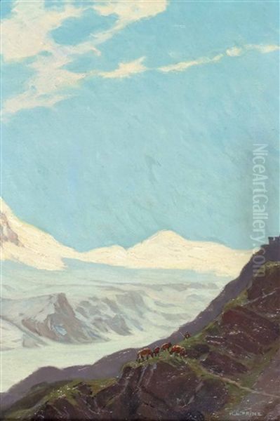 Weidende Kuhe Auf Der Hochalm - view 1