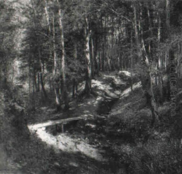 Waldweg - view 1