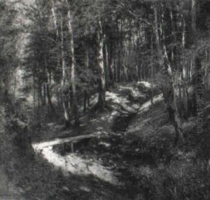 Waldweg Waldweg