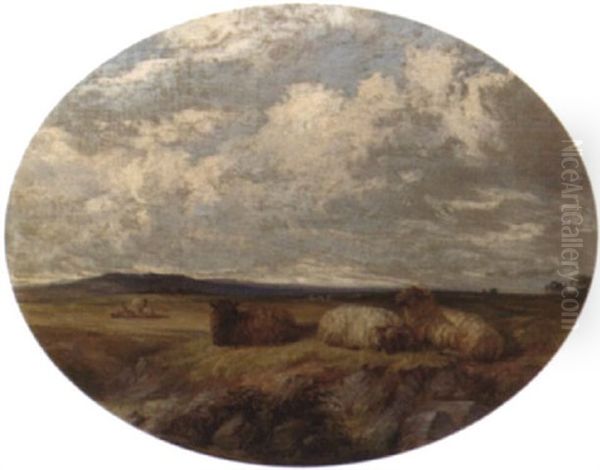 Sheep In A Meadow - view 1