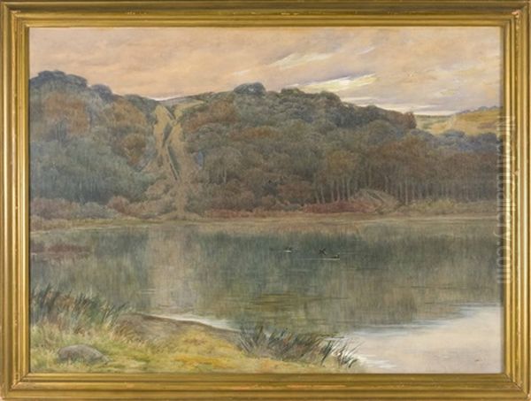 Ducks On A Pond - view 1