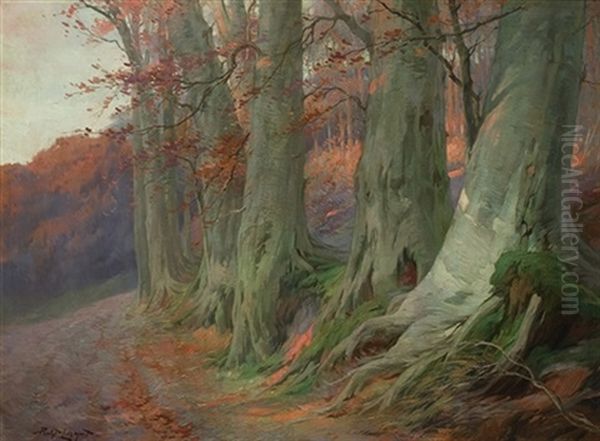Bosque - view 1