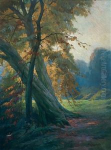 Paisaje Con Arbol Caido