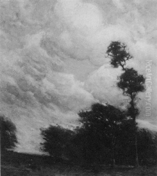 Windblown Trees - view 1