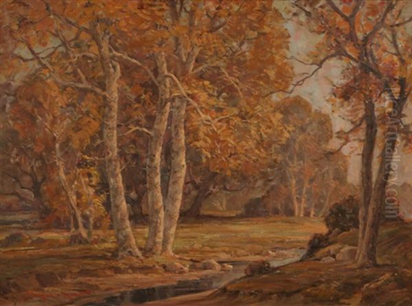Trees - view 1