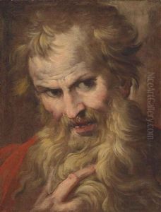 Head Study Of A Bearded Man by Camillo Procaccini