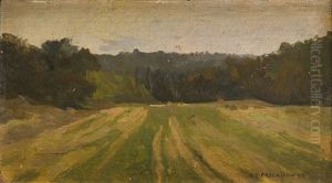Landscape Landscape