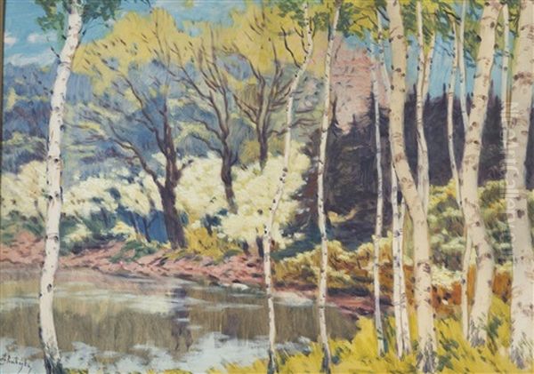Birches By The Water - view 1