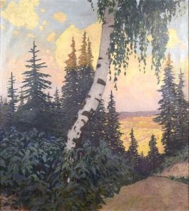 Forest Landscape Forest Landscape