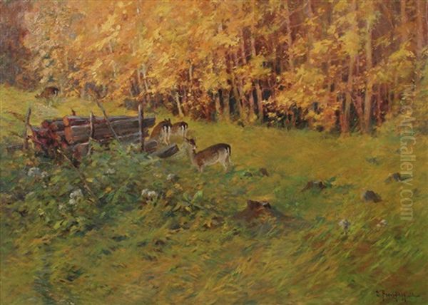 Rehe Im Herbstwald - view 1