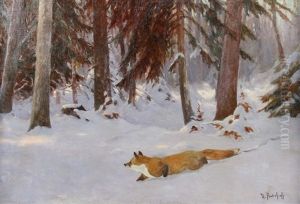 Schnurender Fuchs Im Schnee by Dimitri Von Prokofiev
